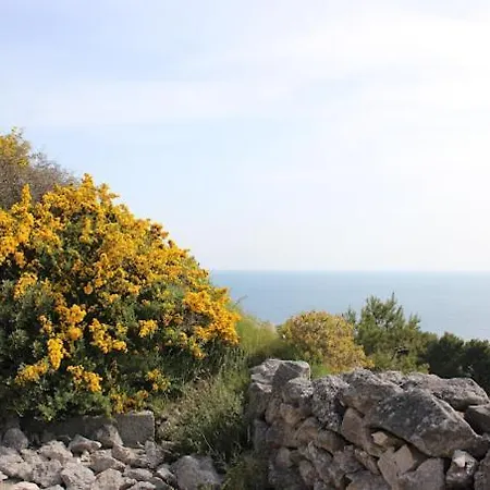 Il Trullo Di Funnuvojere Vakantiehuis Corsano (Apulia)