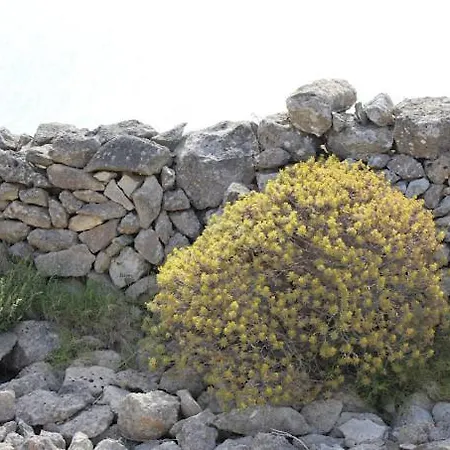 Vakantiehuis Il Trullo Di Funnuvojere