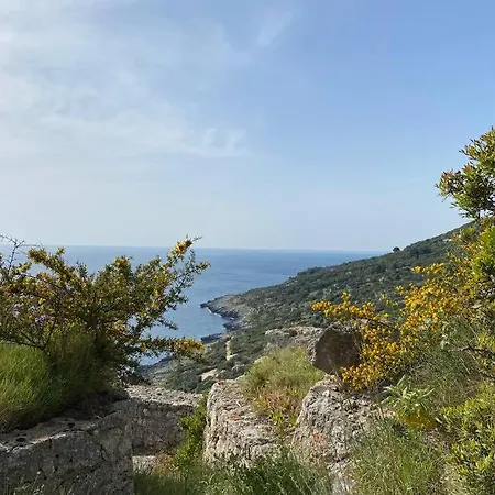 Vakantiehuis Il Trullo Di Funnuvojere Corsano (Apulia)
