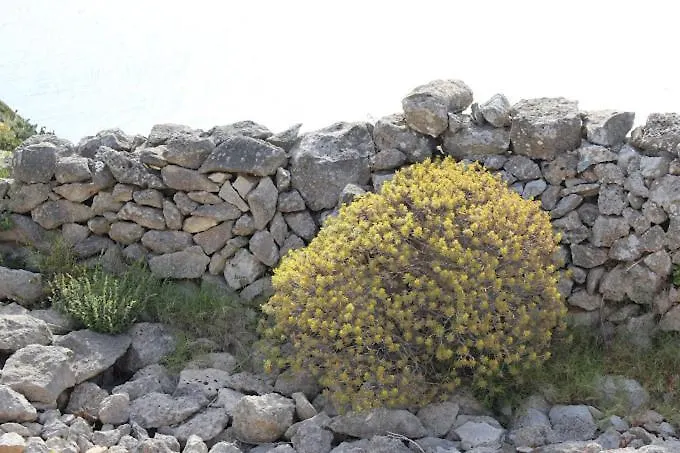 Semesterbostad Il Trullo Di Funnuvojere