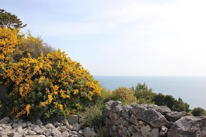 Il Trullo Di Funnuvojere 度假居 Corsano (Apulia)